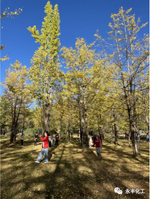 七彩云南，邂逅浪漫